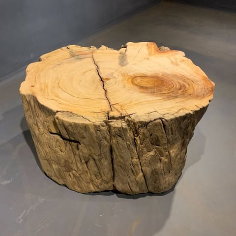 21674/台灣扁柏木墩/70*60*44