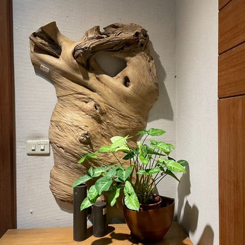 14786/奇木板片