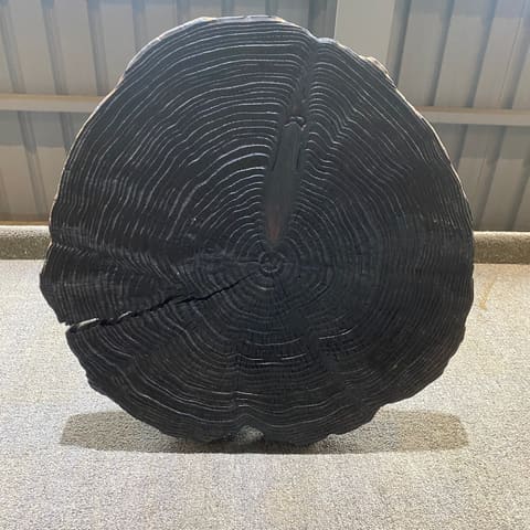 43365/柳杉炭燒圓板片/43*43*4