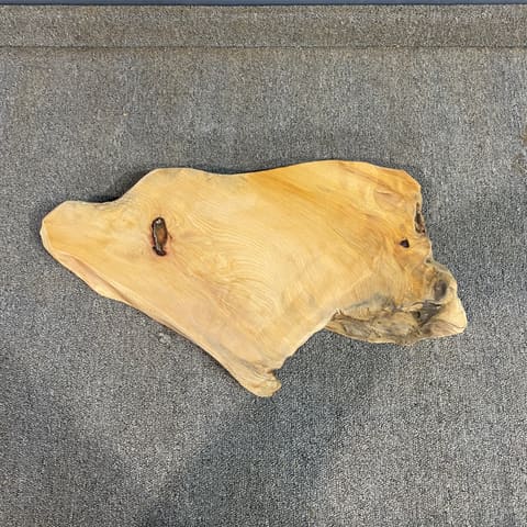 臺灣扁柏擺設48*24*5