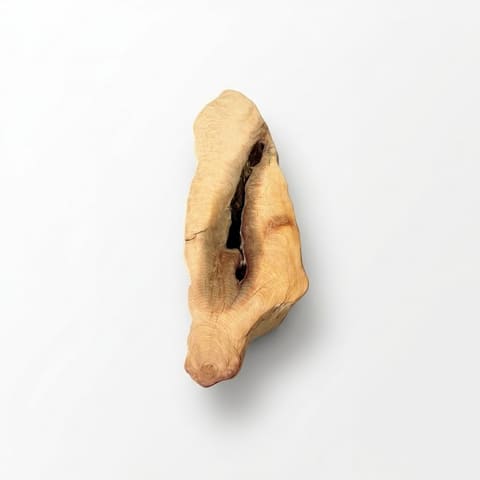 46784 臺灣扁柏木墩